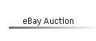 eBay Auction